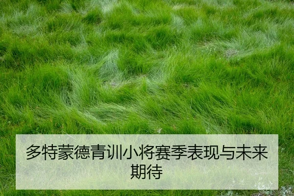 多特蒙德青训小将赛季表现与未来期待